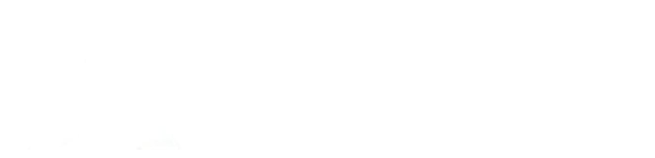 MENA Bridge